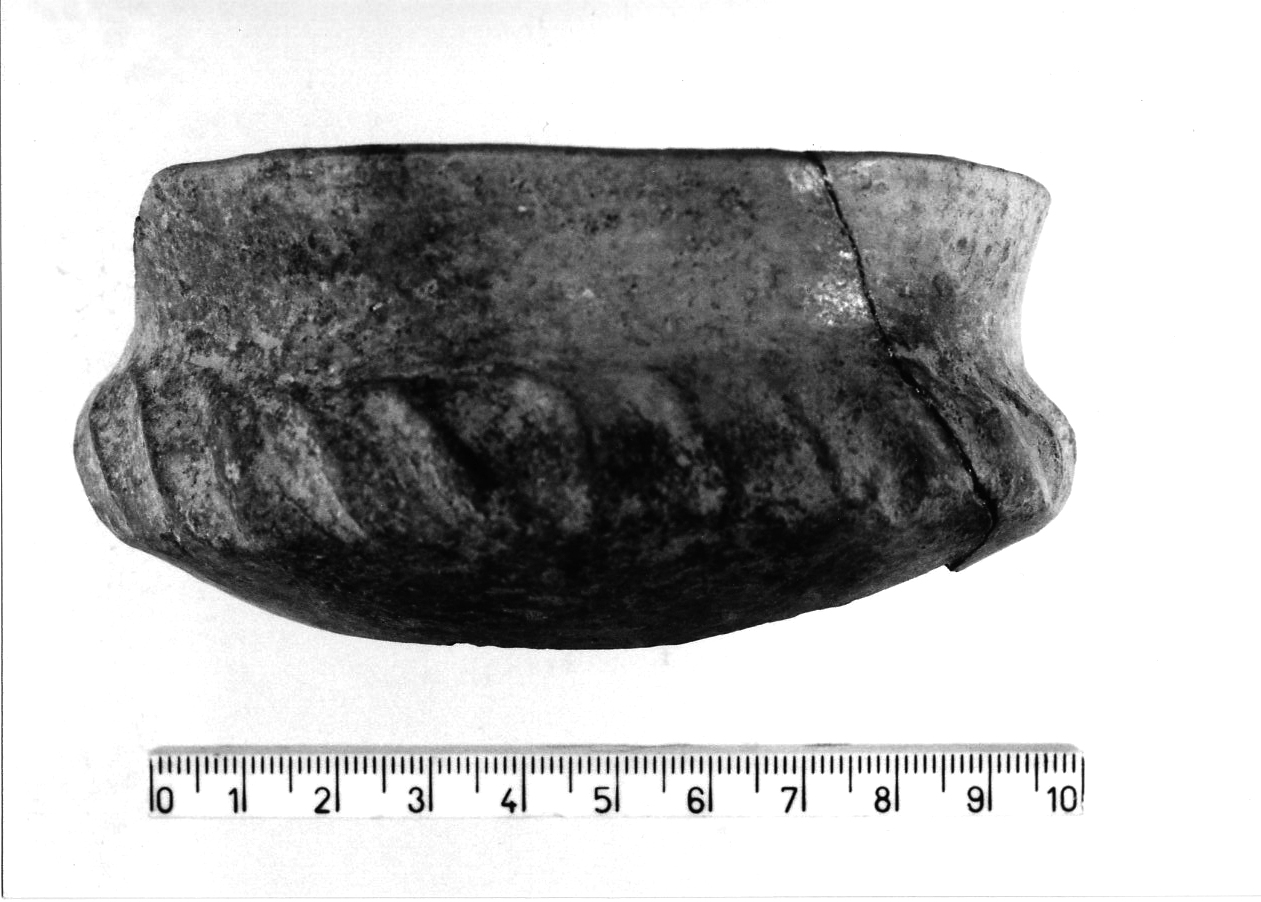 tazza a collo distinto/ frammento (Bronzo finale)