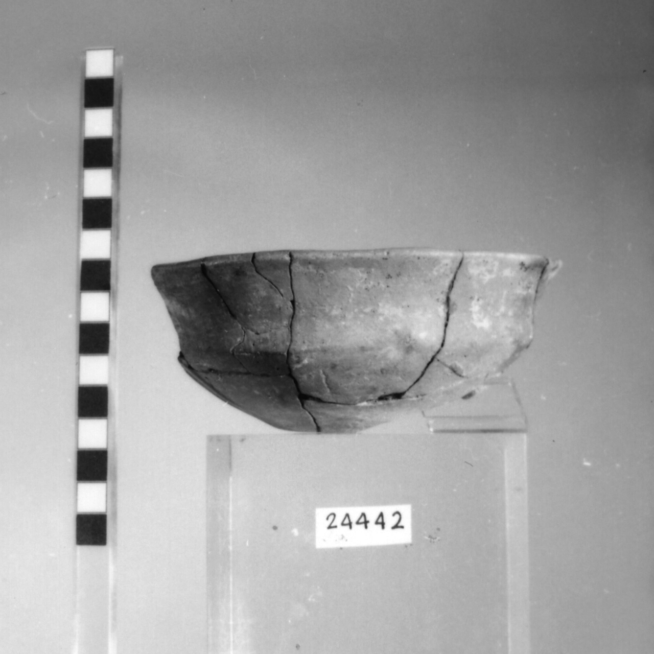 ciotola carenata (Bronzo recente)