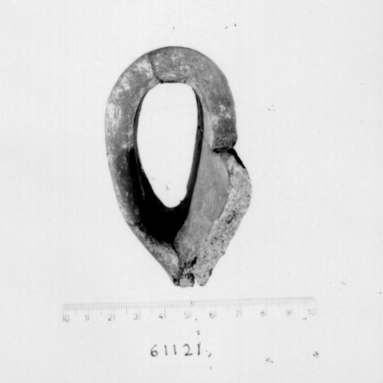 ansa a nastro/ frammento (Bronzo recente)