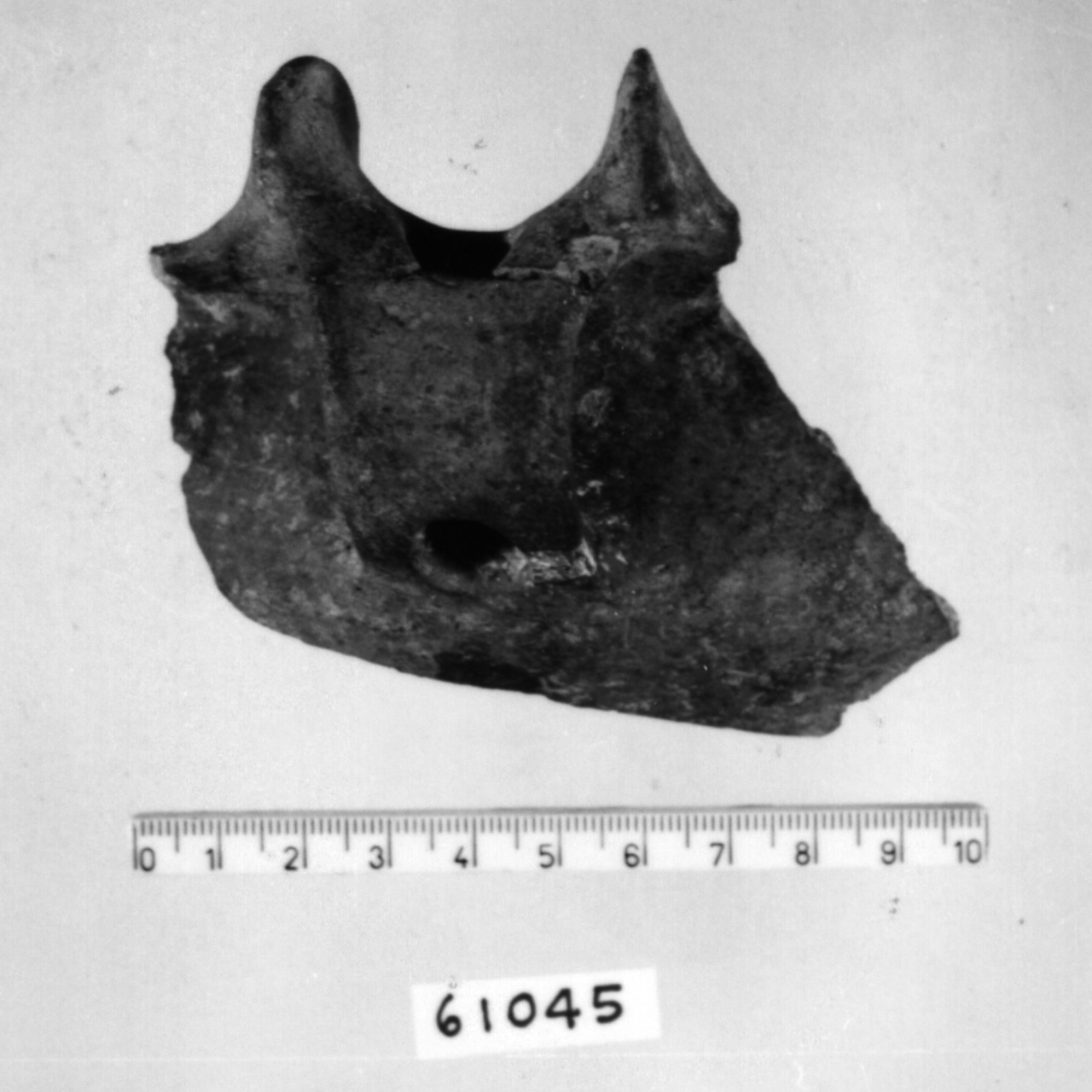 ansa a nastro forato con lobi sopraelevati, Cocchi, tipo 456 (Bronzo medio 3)
