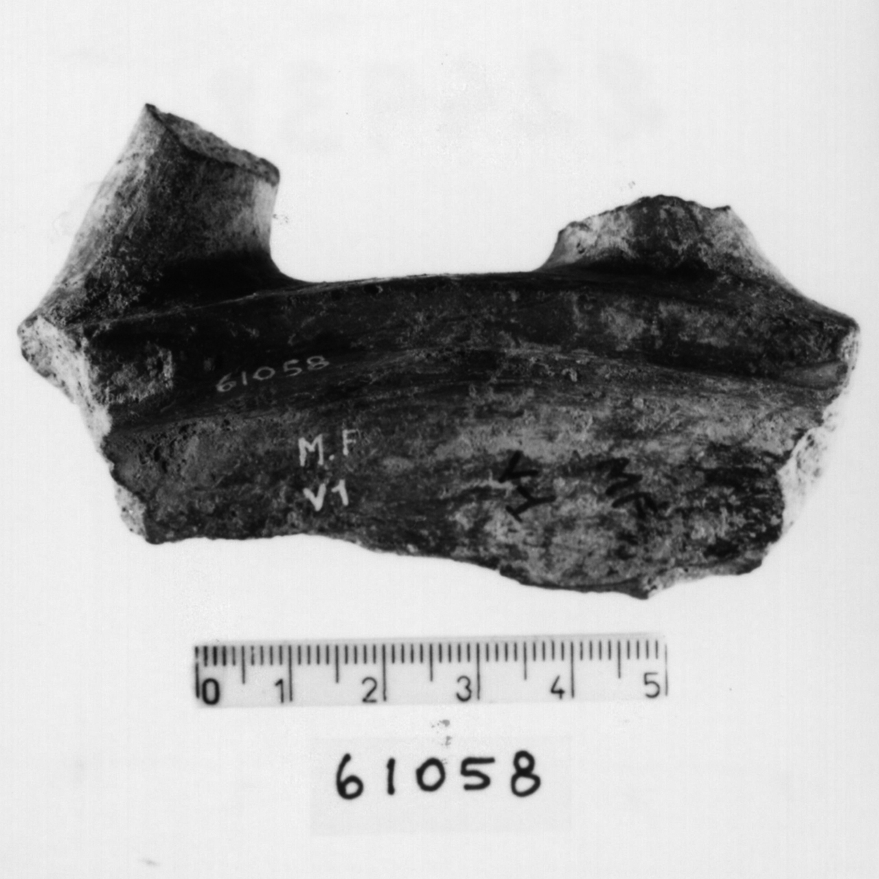 ansa di scodella/ frammento (Bronzo finale)