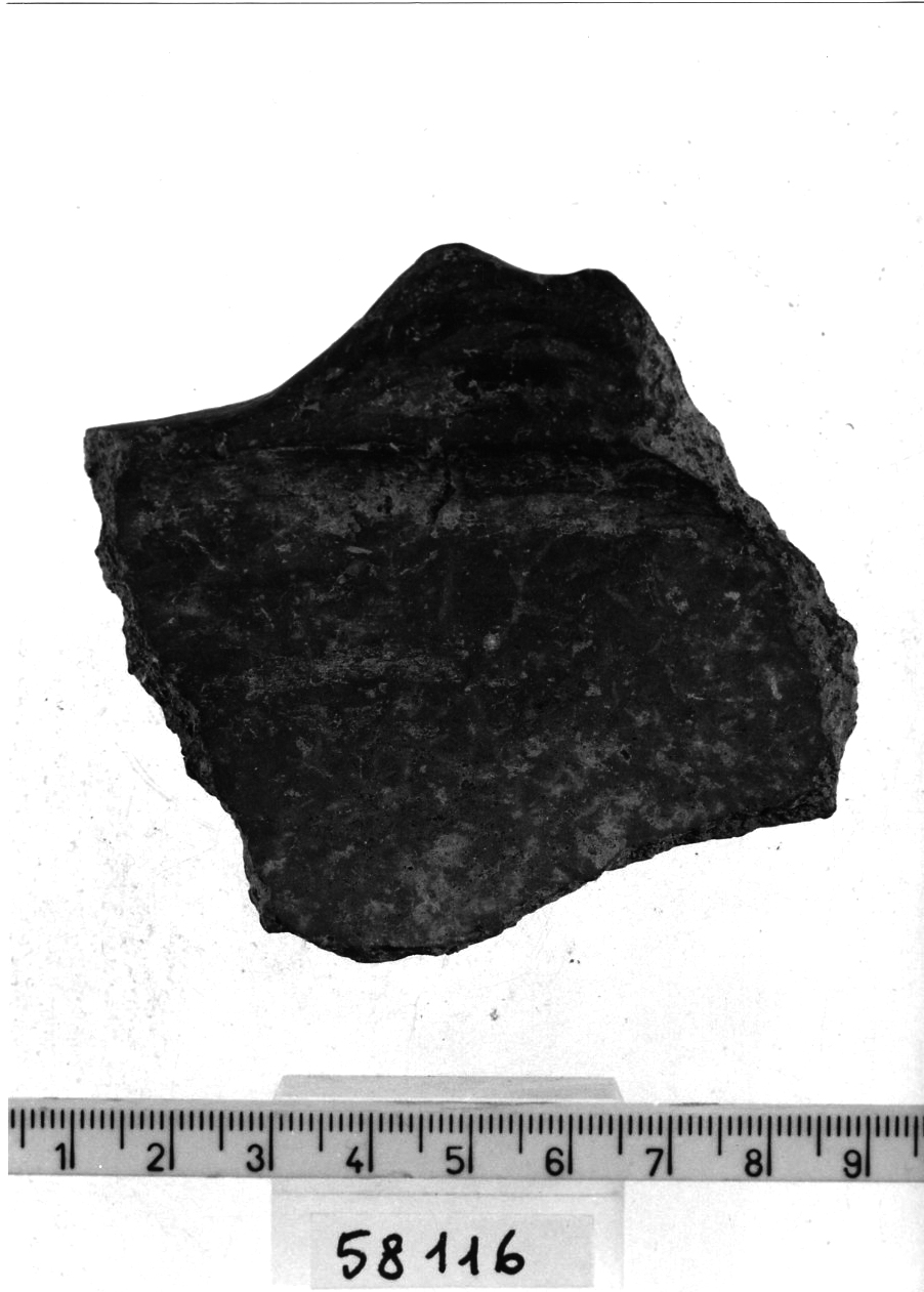 scodella/ frammento (Bronzo recente)