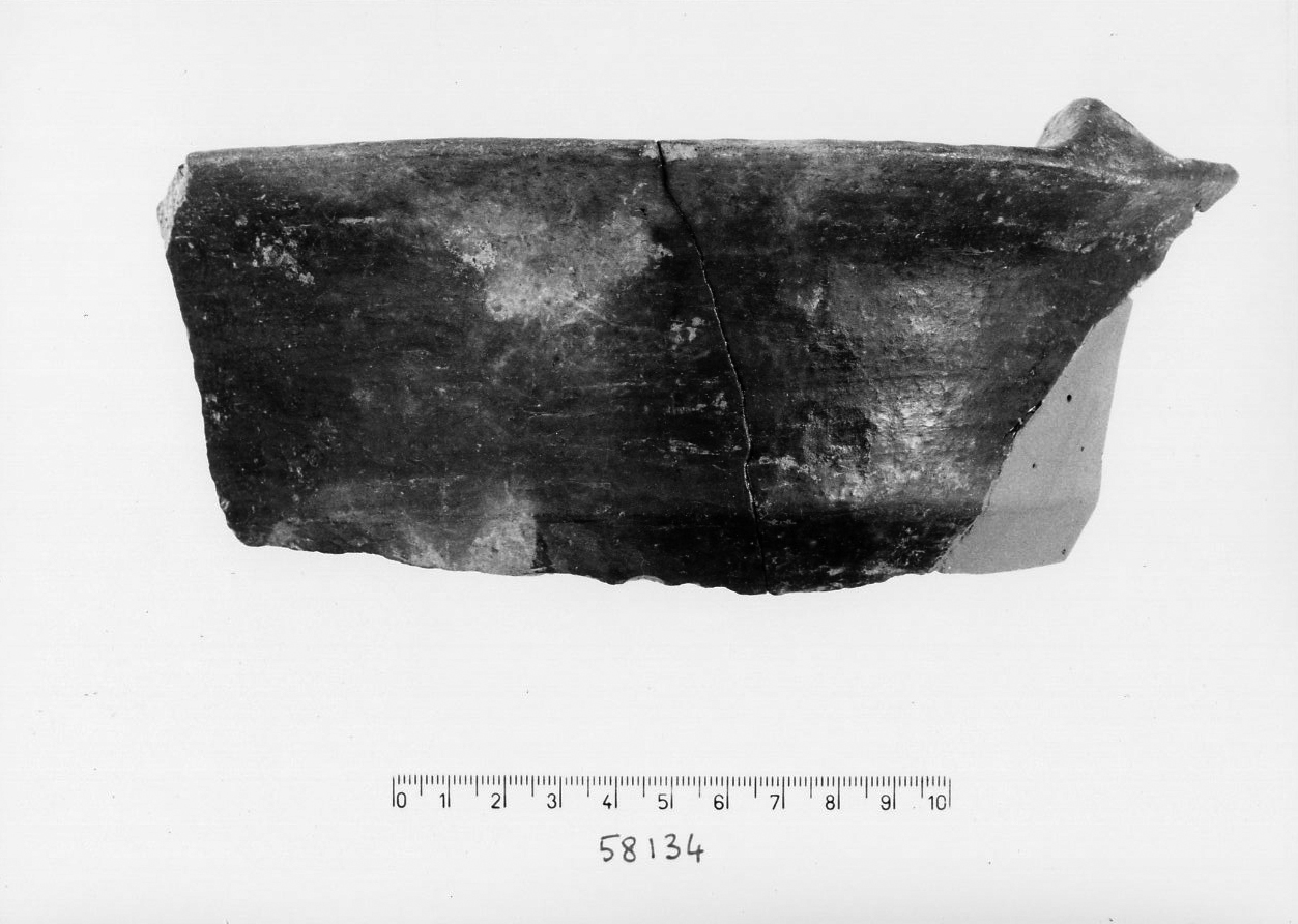 ciotola carenata/ frammento (Bronzo recente)