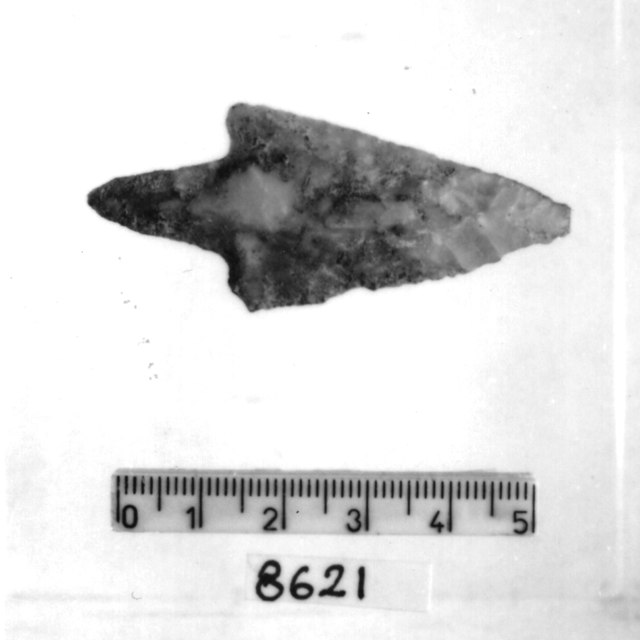 punta a doppio cran (Bronzo medio)