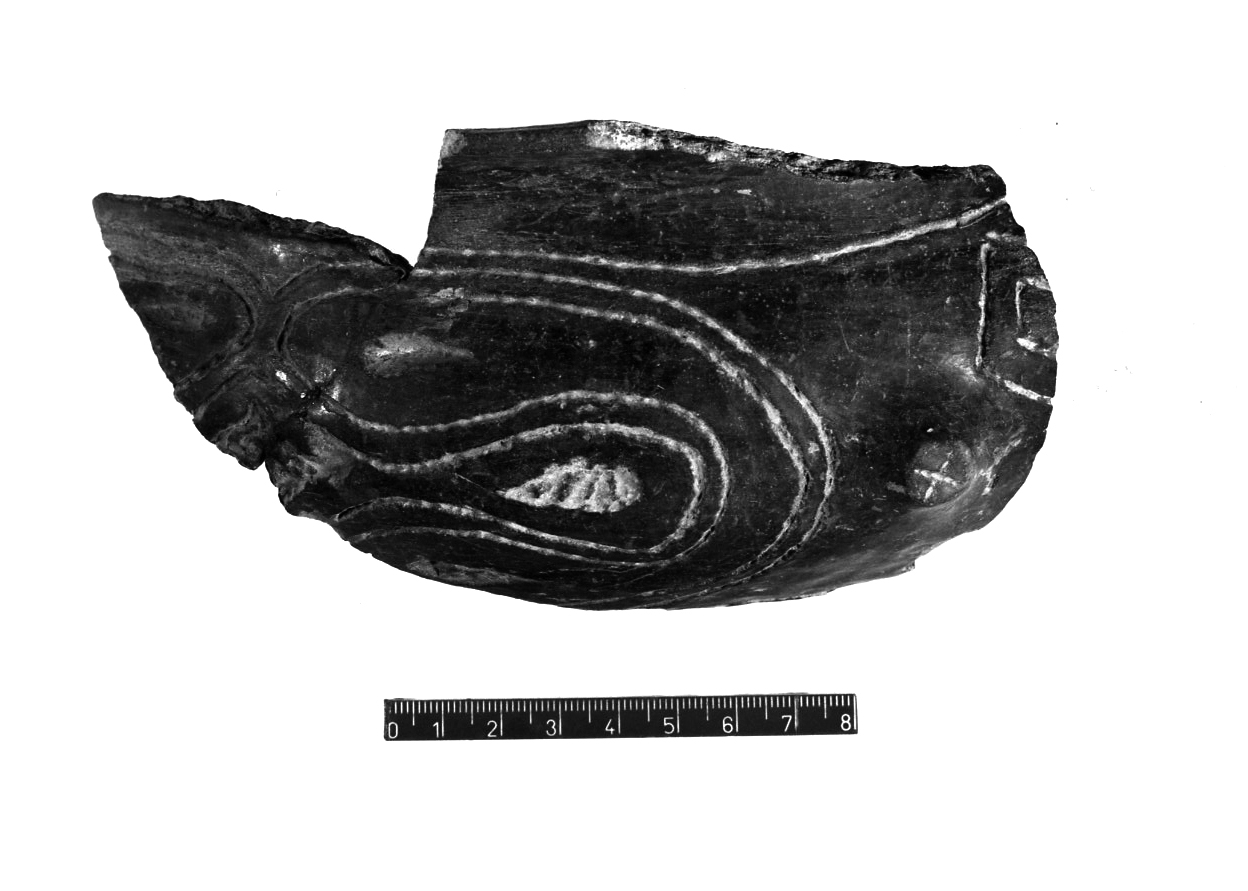 ciotola a corpo arrotondato/ frammento - facies appenninica (Bronzo medio 3)