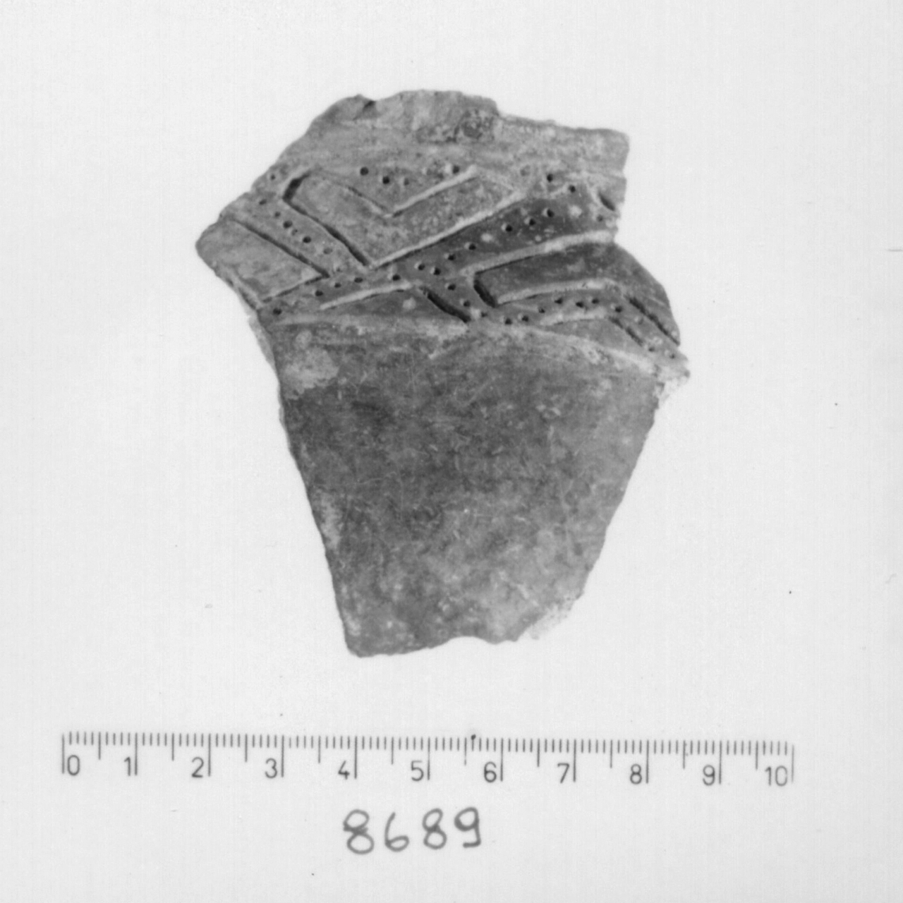 ciotola carenata/ frammento - facies appenninica (Bronzo medio 3)