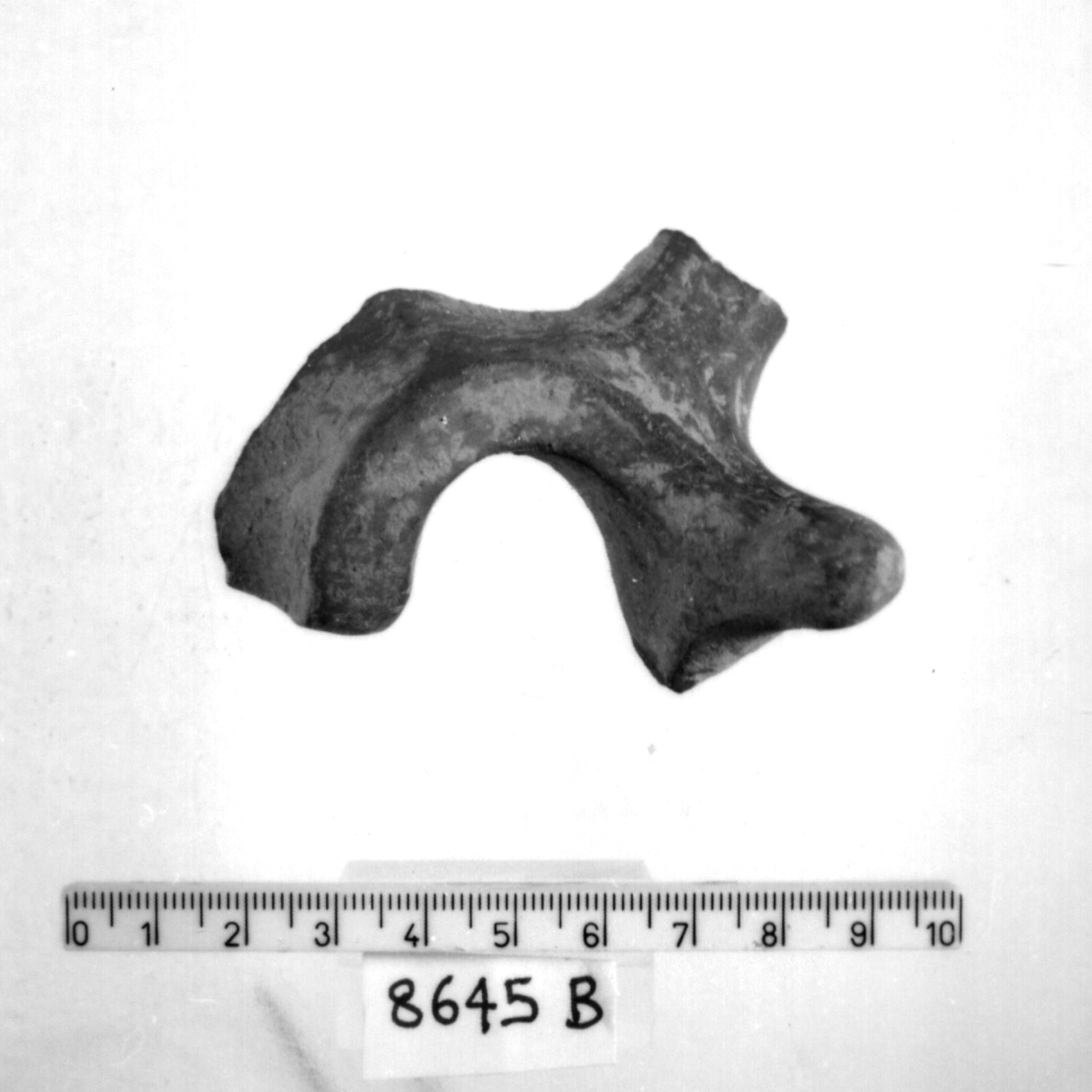 manico a nastro con apici revoluti/ frammento (Bronzo medio 3)