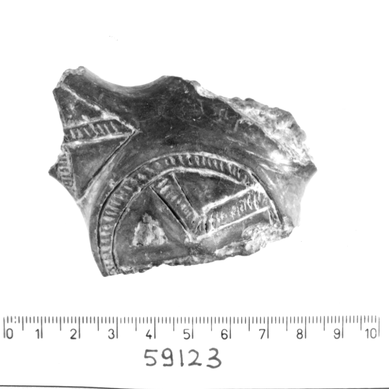 ansa a maniglia/ frammento - facies appenninica (Bronzo medio 3)