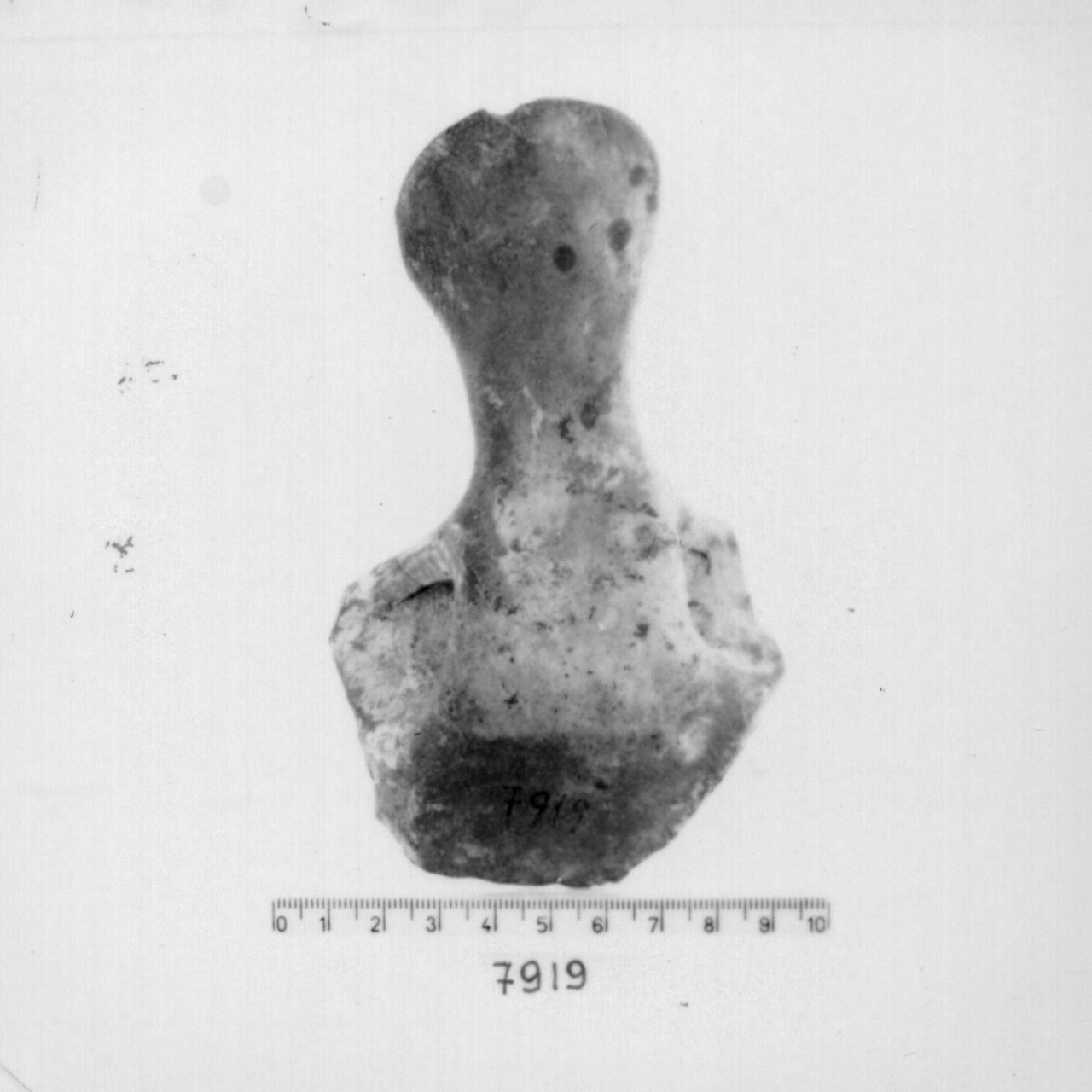 ciotola carenata/ frammento (Bronzo recente)