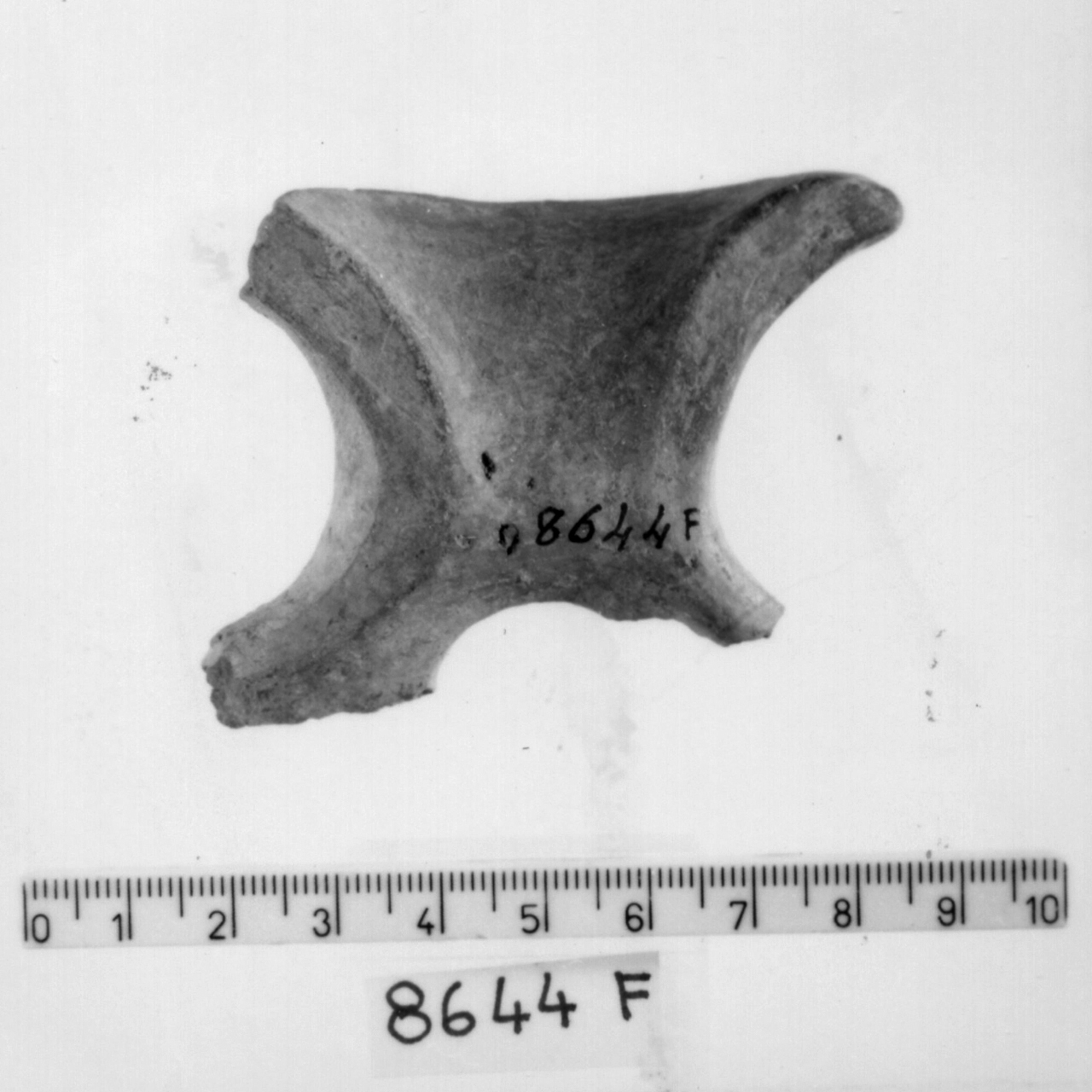 manico a nastro con apici revoluti/ frammento (Bronzo medio 3)