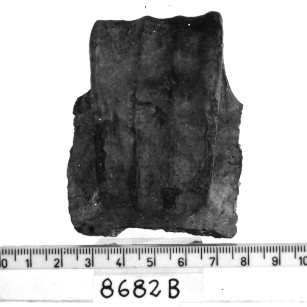 ansa a nastro costolata/ frammento (Bronzo medio-recente)