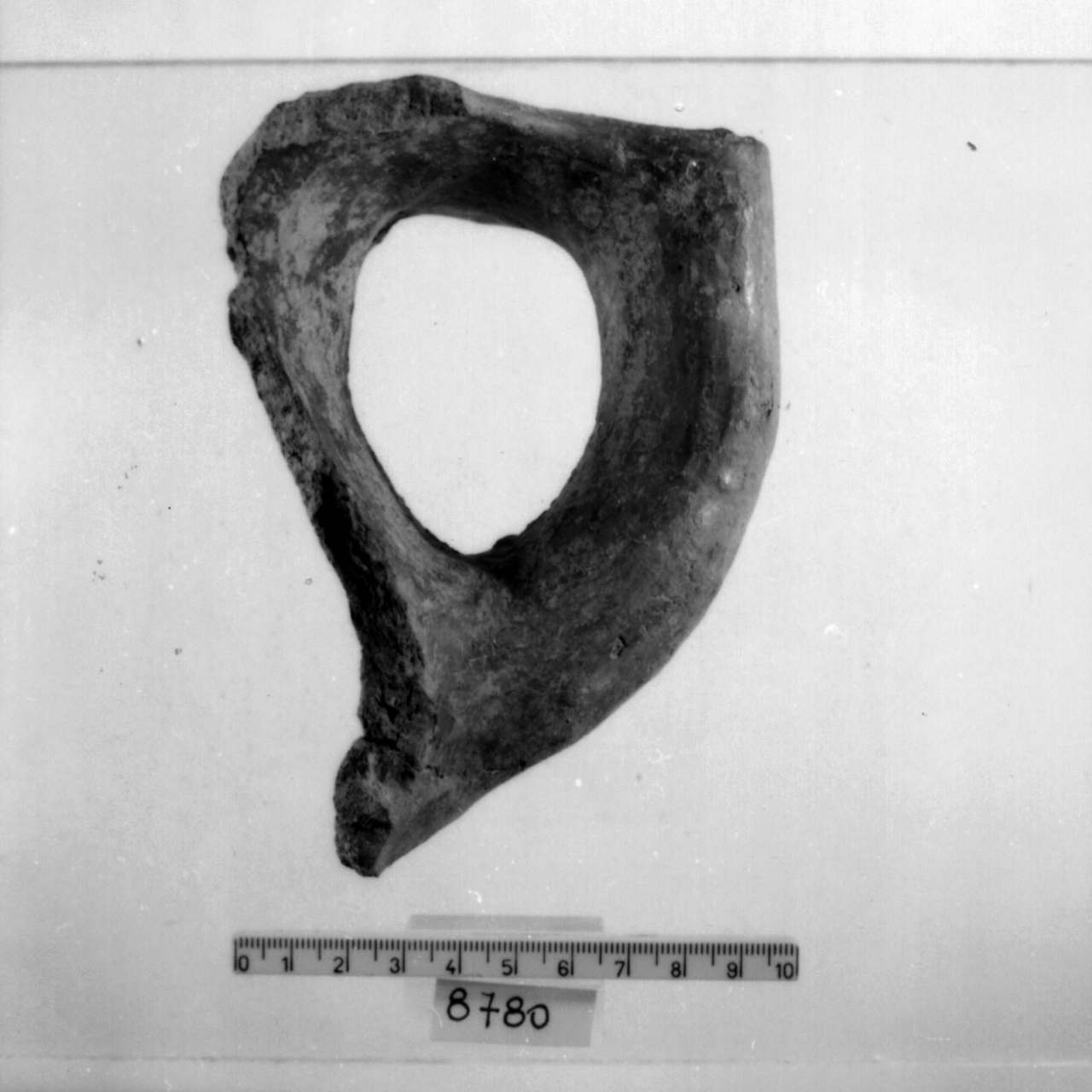 vaso a becco-ansa/ frammento (Bronzo recente)