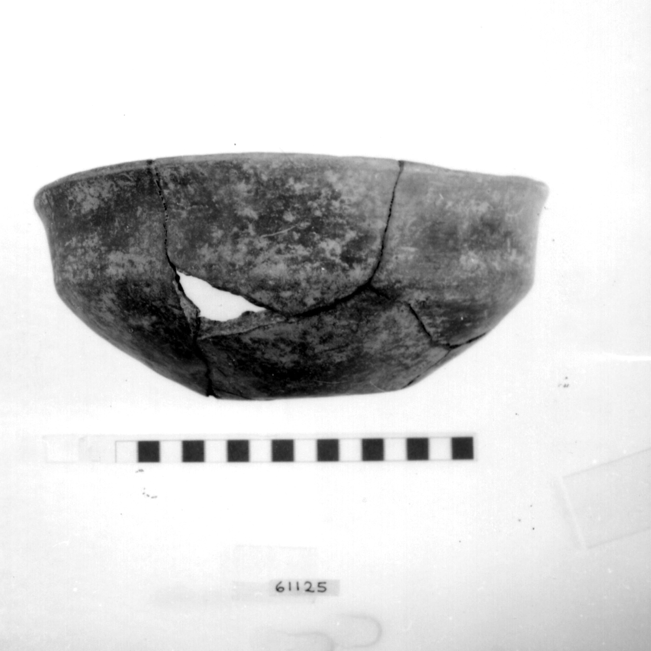 ciotola carenata/ frammento (Bronzo recente)