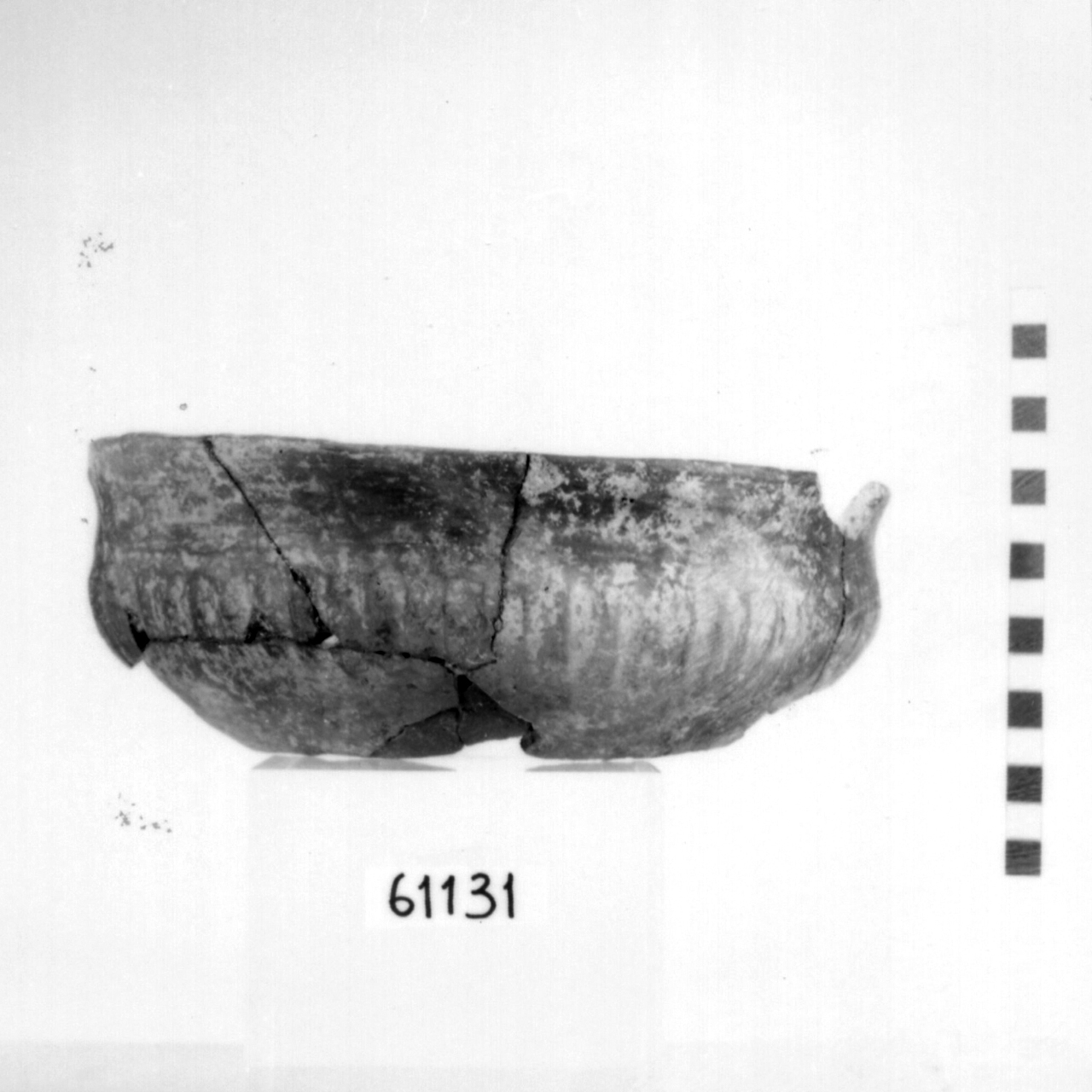 ciotola a corpo arrotondato/ frammento (Bronzo finale)