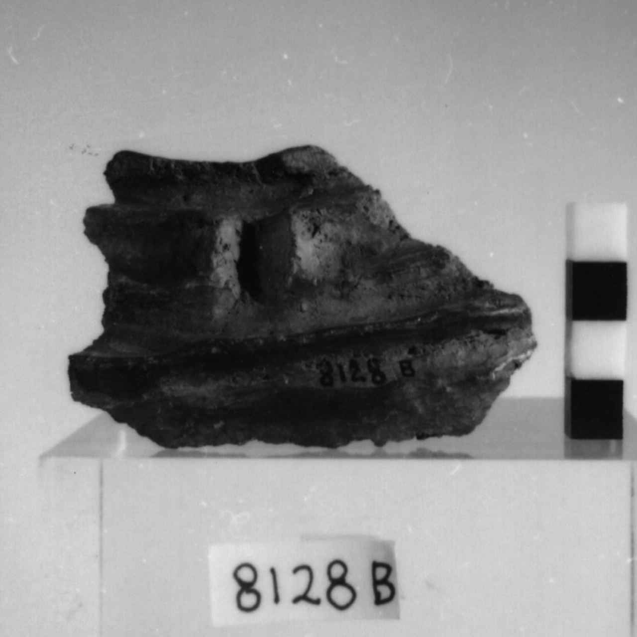 olletta/ frammento (Bronzo medio-recente)