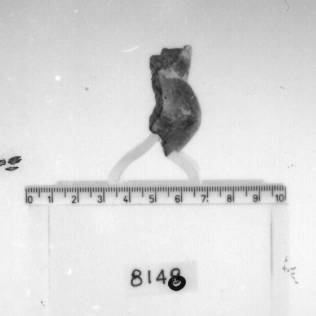 olletta/ frammento (Bronzo medio-recente)