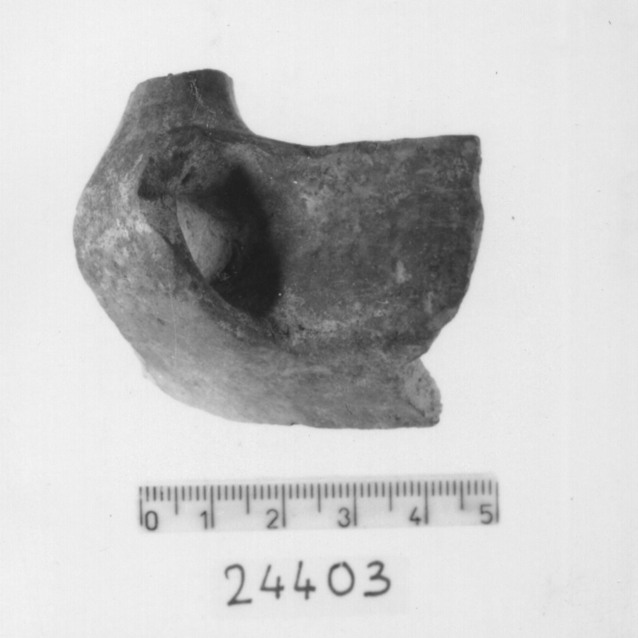 tazza carenata/ frammento (Bronzo recente)