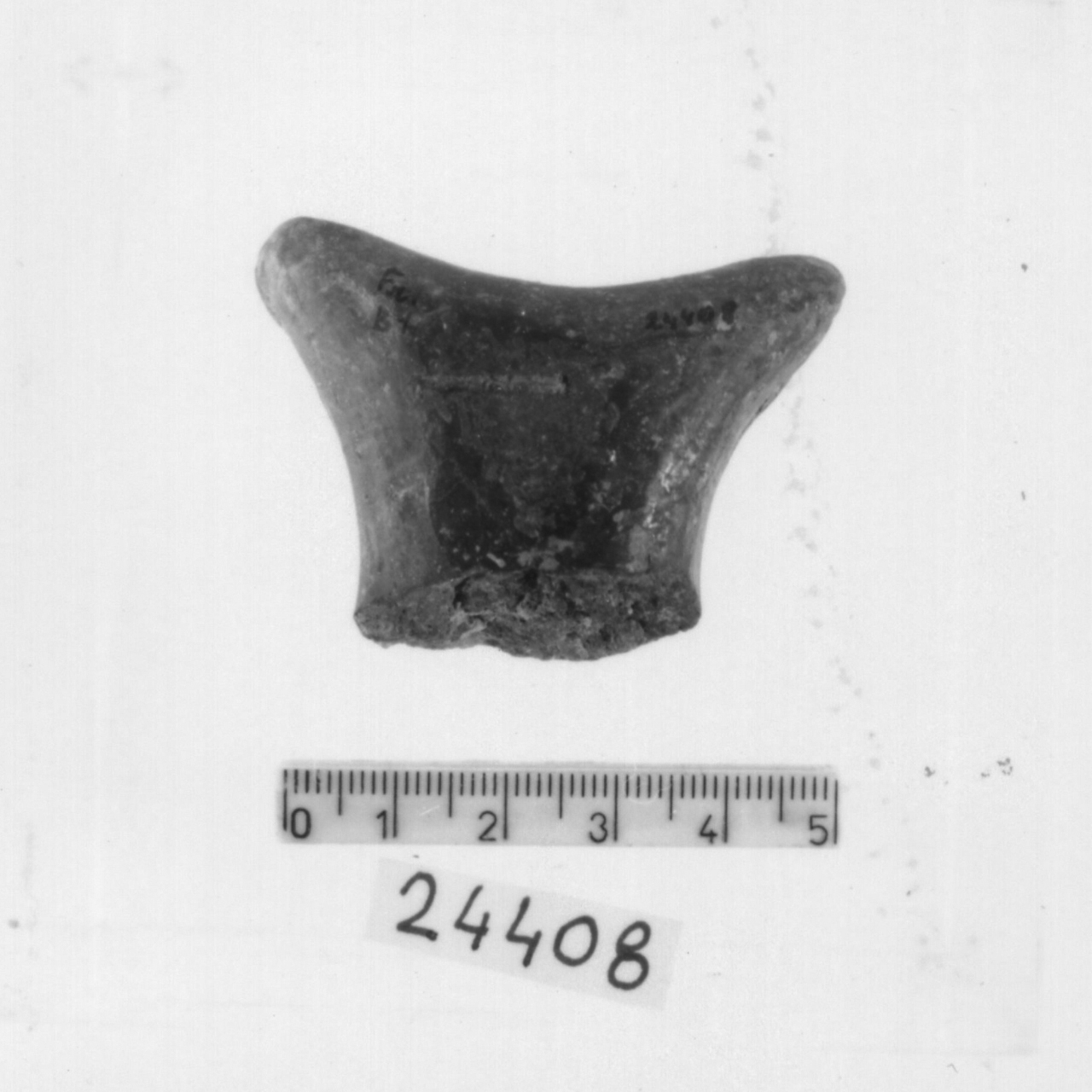 sopraelevazione nastriforme con apici sviluppati (Bronzo medio 3)