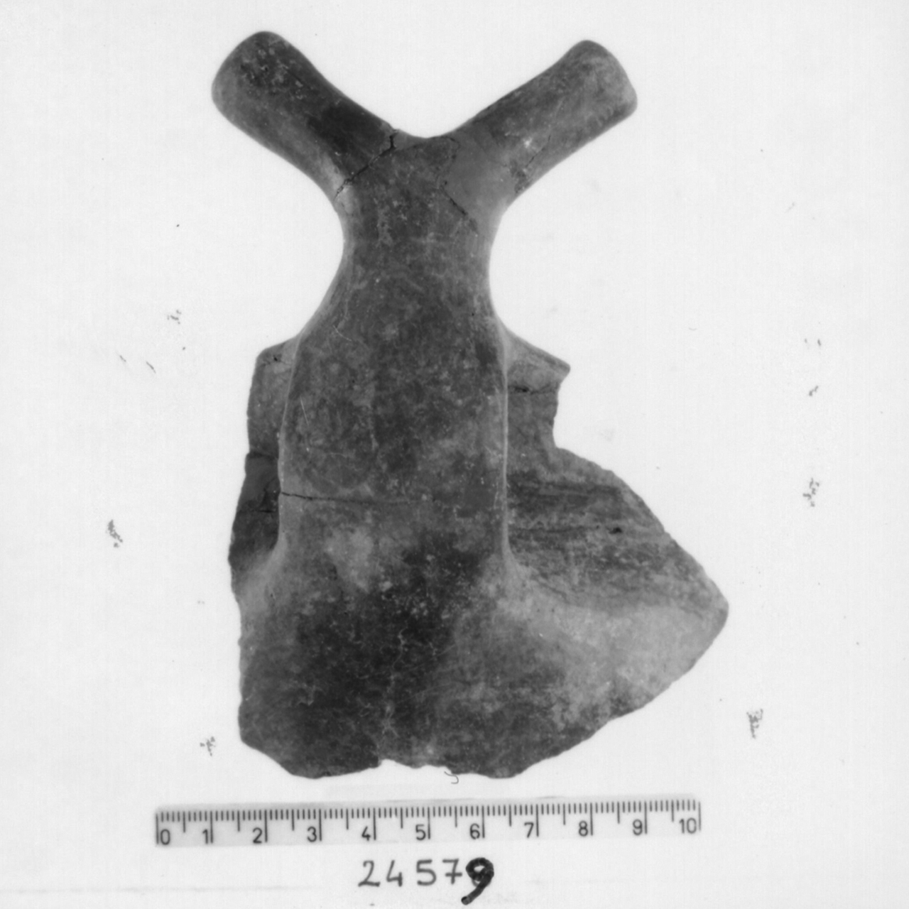 ciotola carenata/ frammento (Bronzo recente)