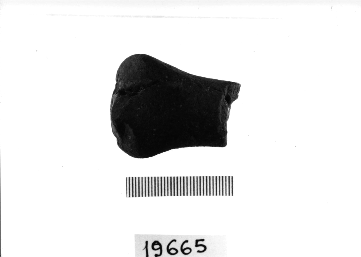 sopraelevazione nastriforme/ frammento (Bronzo medio 3)