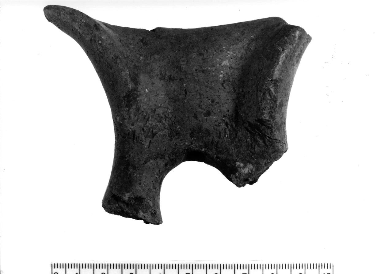 manico a nastro con apici appuntiti/ frammento, Cocchi Genick, tipo 549 (Bronzo medio 1-2)