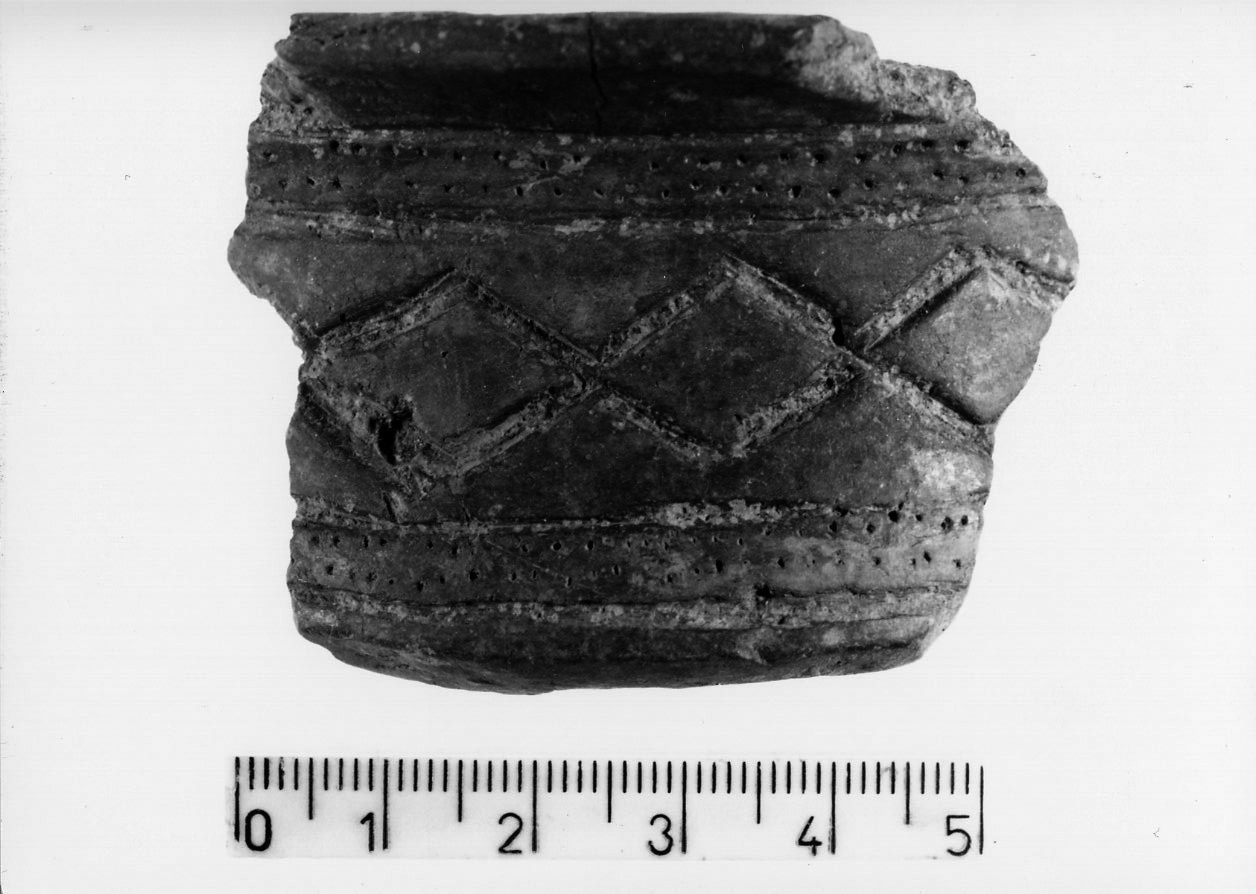 ciotola carenata/ frammento, Cocchi genick, tipo 365B - facies appenninica (Bronzo medio 3)