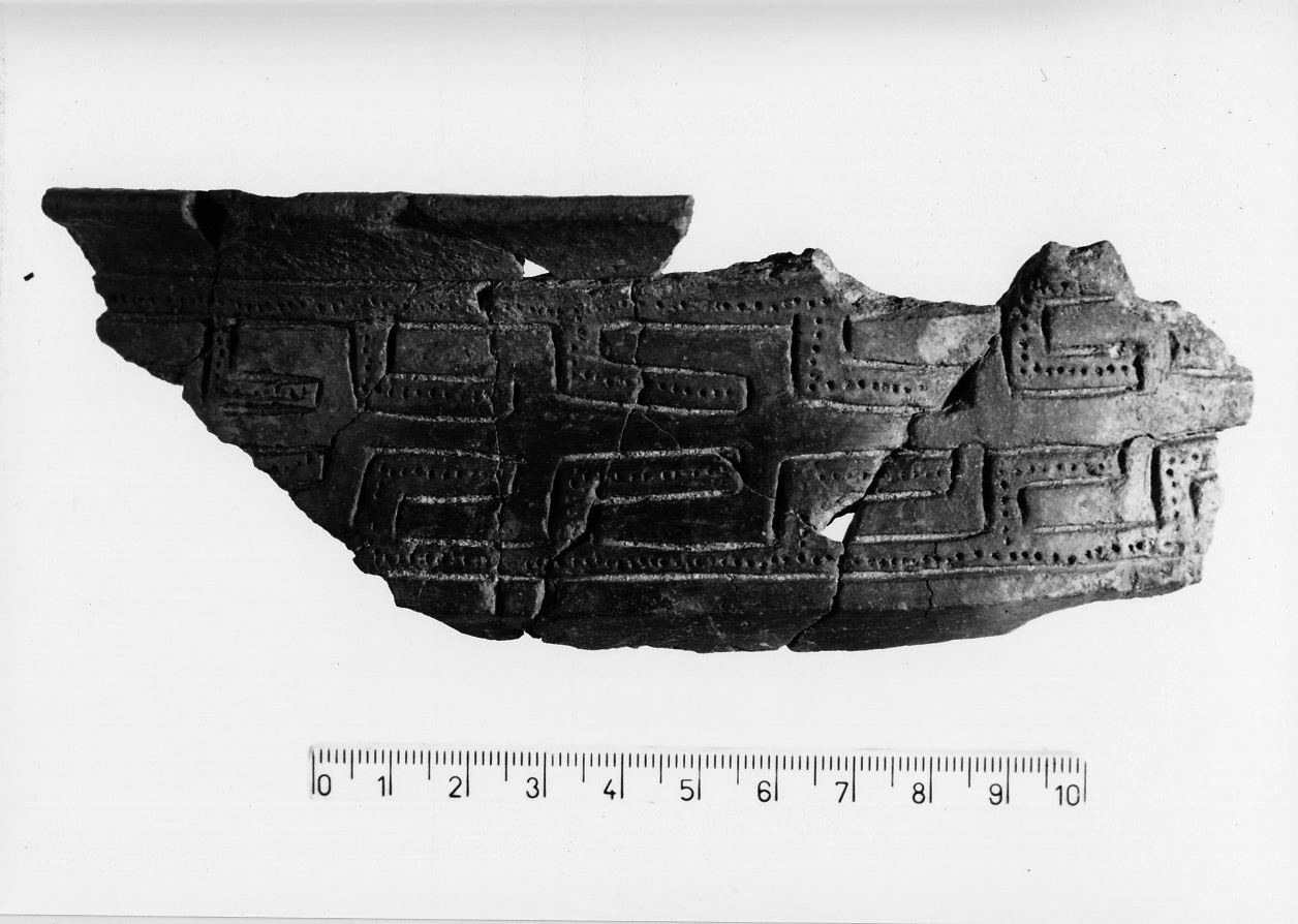 ciotola carenata/ frammento, Cocchi Genick, tipo 298 - facies appenninica (Bronzo medio 3)