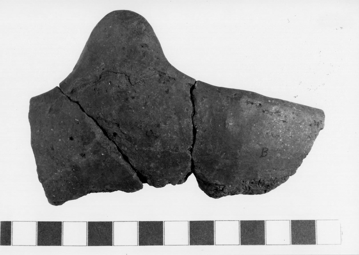 scodella/ frammento (Bronzo medio 3)