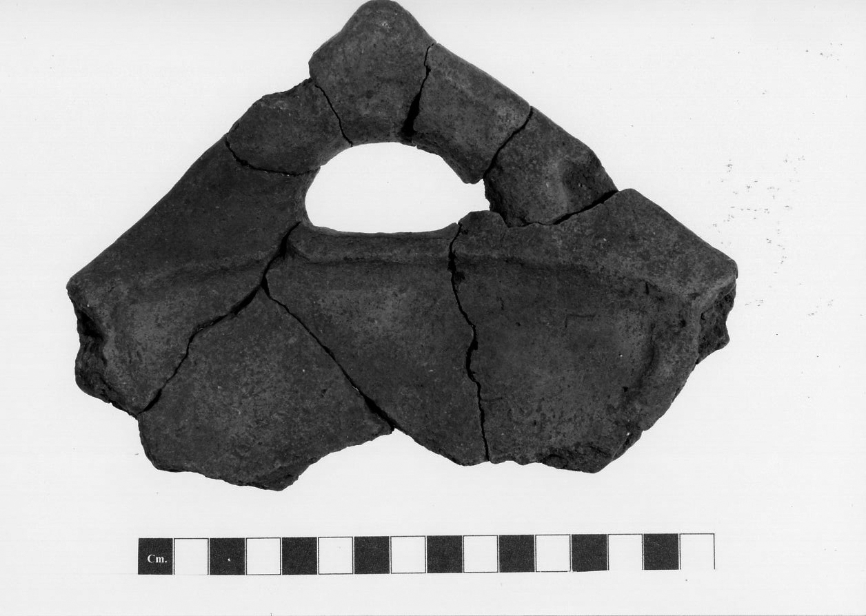 ansa a maniglia triangolare, Cocchi Genick, tipo 516 (Bronzo medio 1-2)