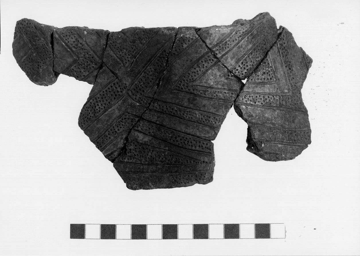 olla/ frammento - facies appenninica (Bronzo medio 3)