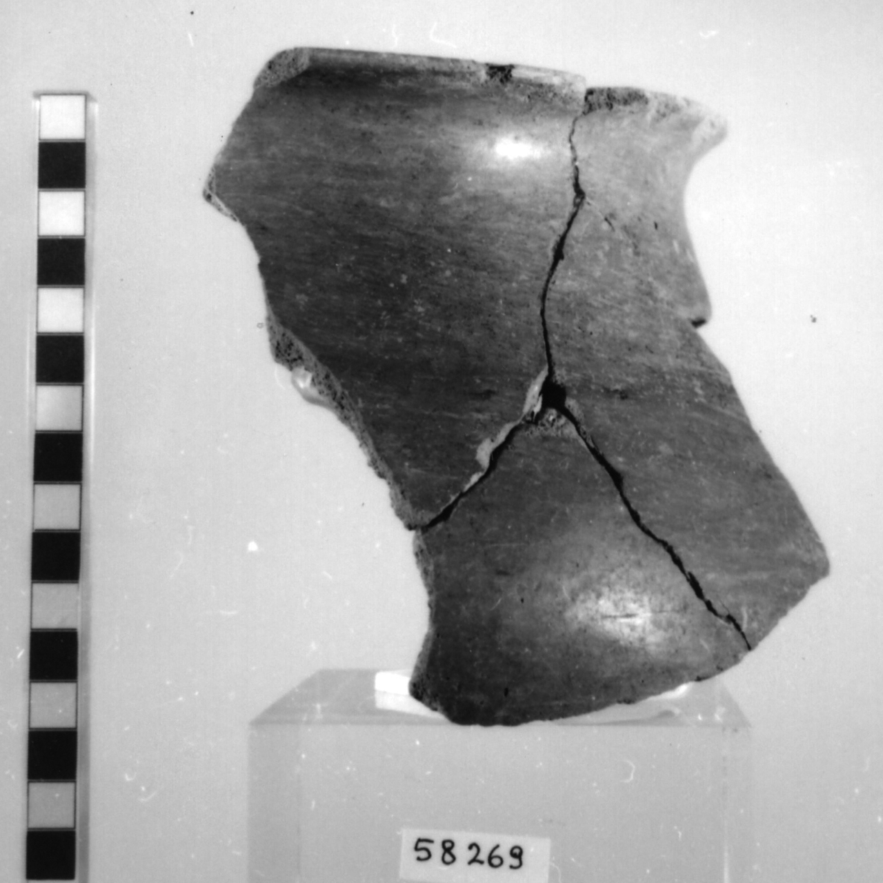 olla/ frammento (Bronzo medio 1-2)