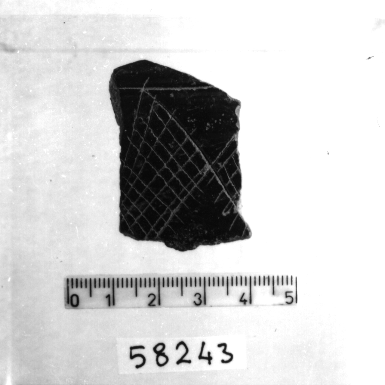 ciotola carenata/ frammento (Bronzo medio 1-2)