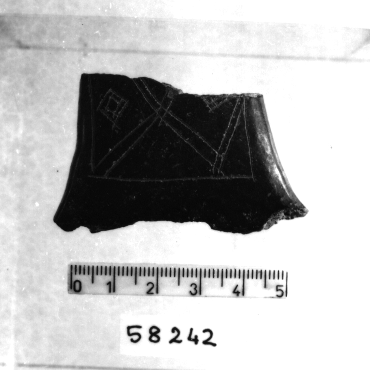 manico a nastro sopraelevato (?)/ frammento (Bronzo medio 1-2)