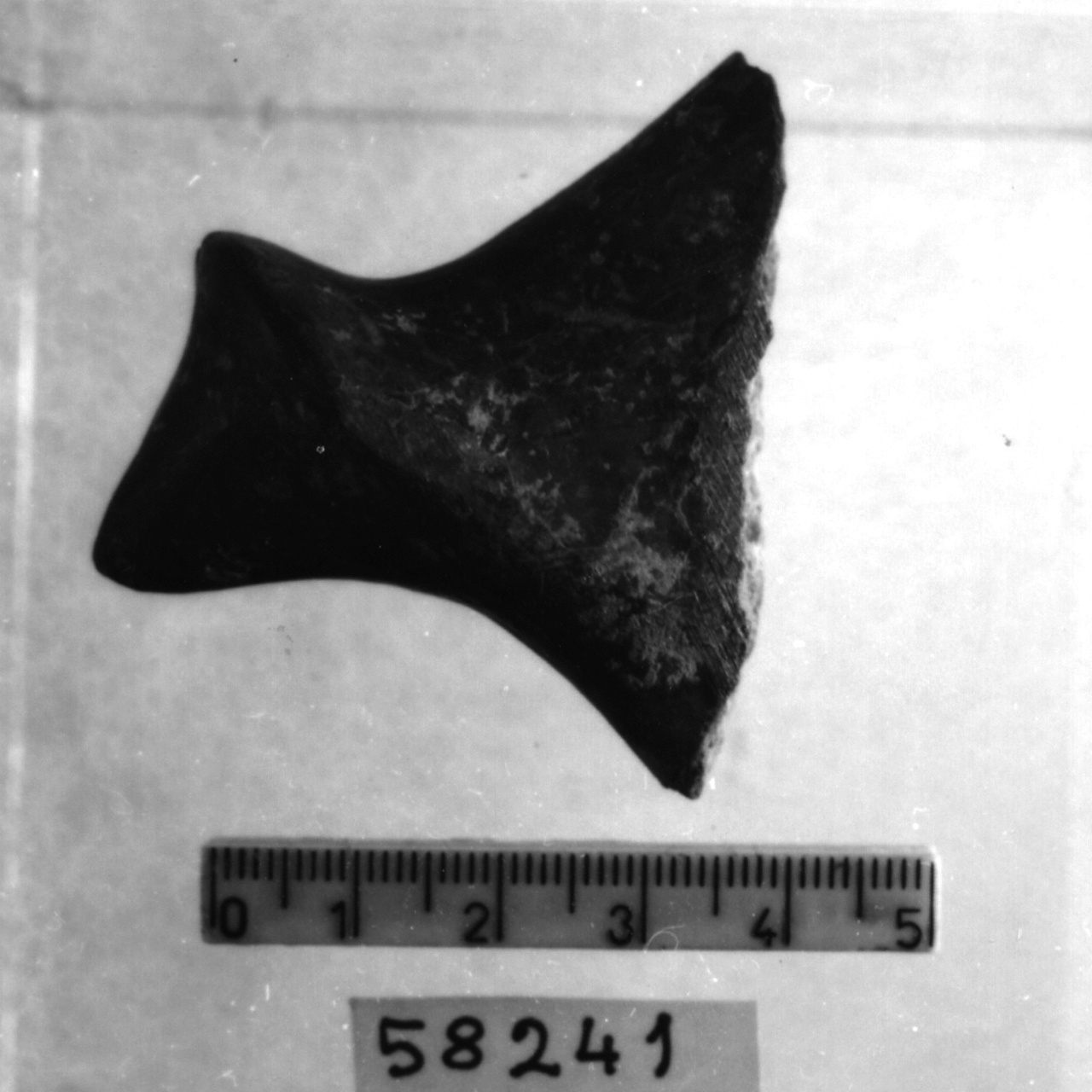 manico a nastro con apici a bugna conica, Cocchi Genick, tipo 533 (Bronzo medio 1-2)