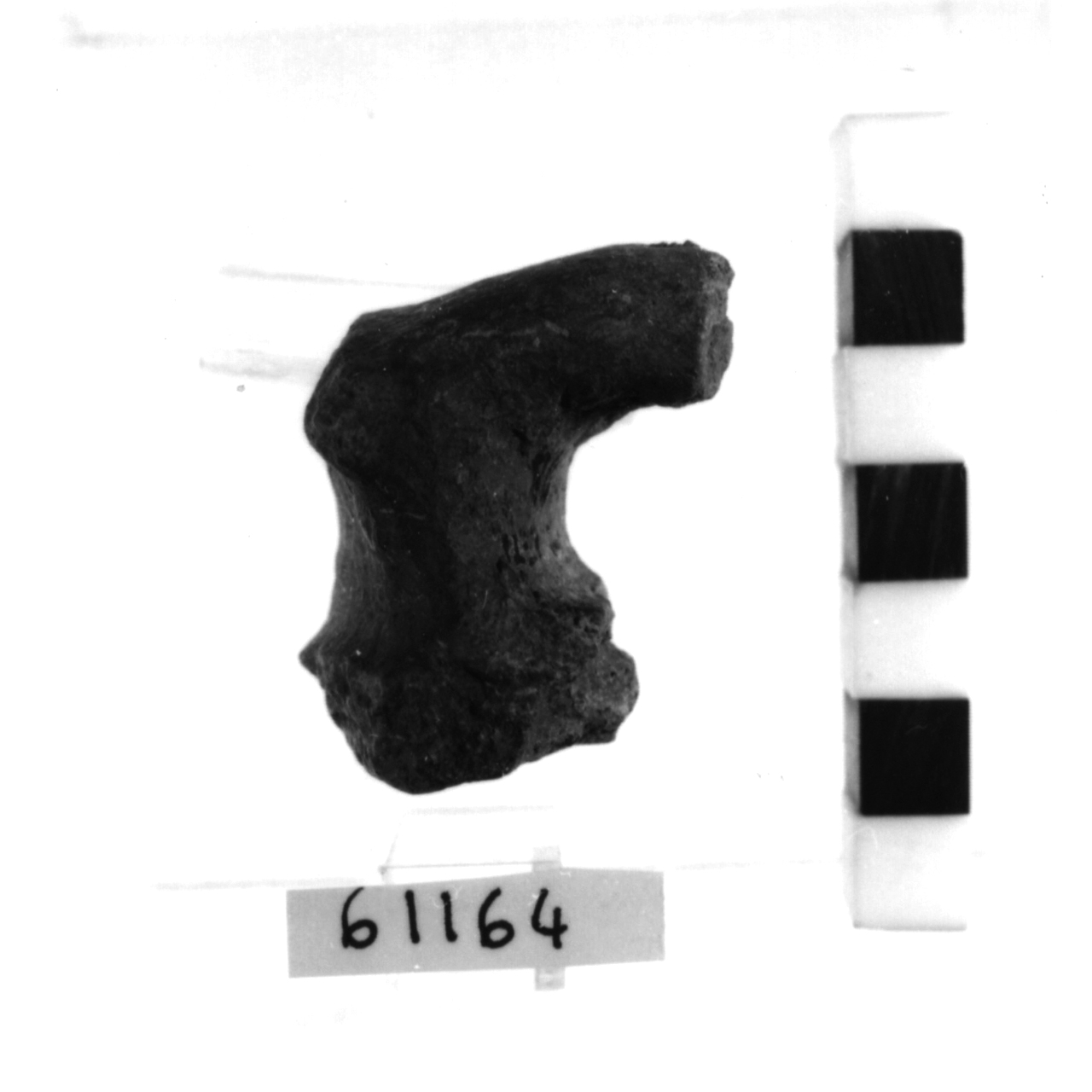 ansa a gomito/ frammento (Bronzo antico)