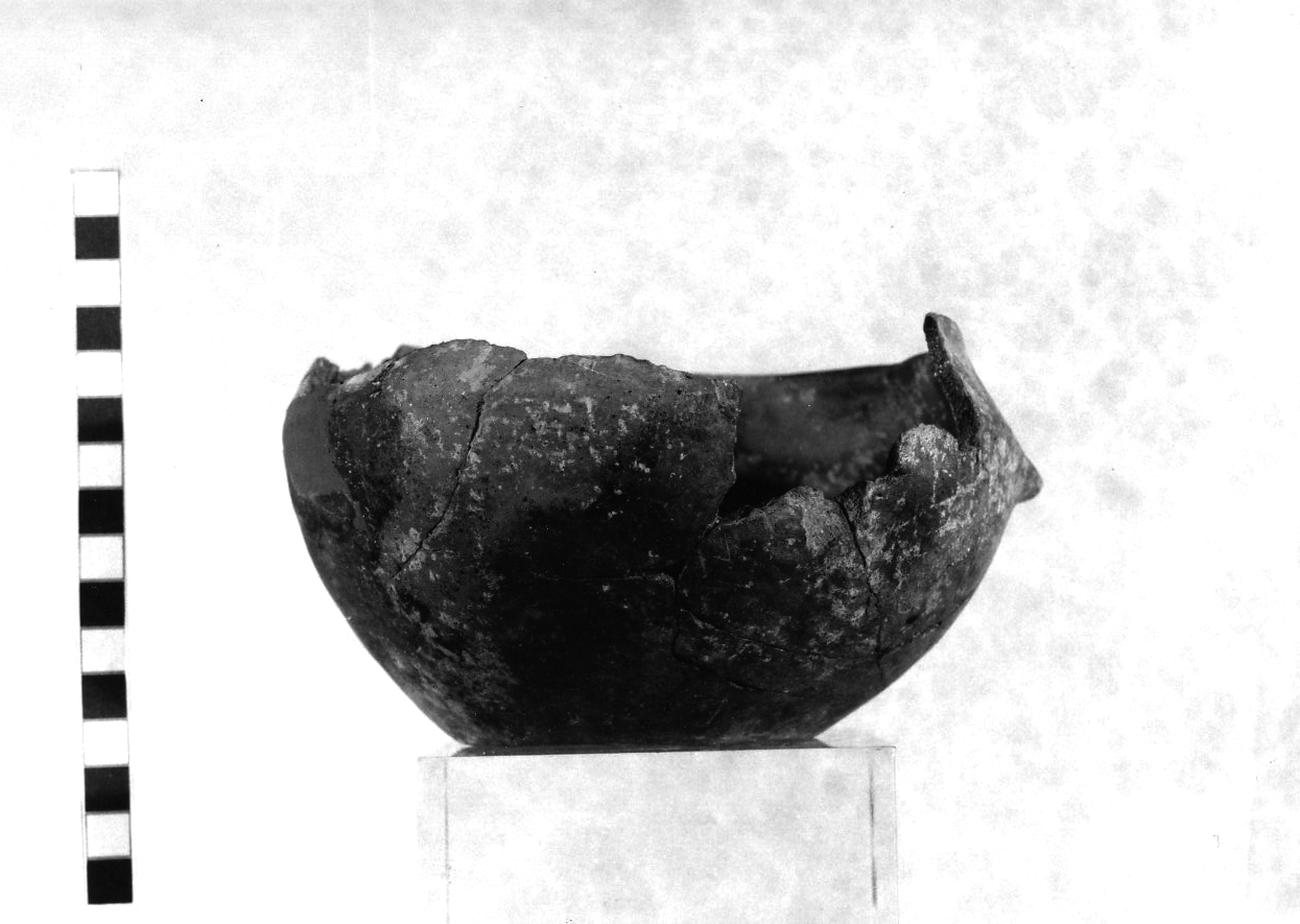 ciotola carenata (Eneolitico)