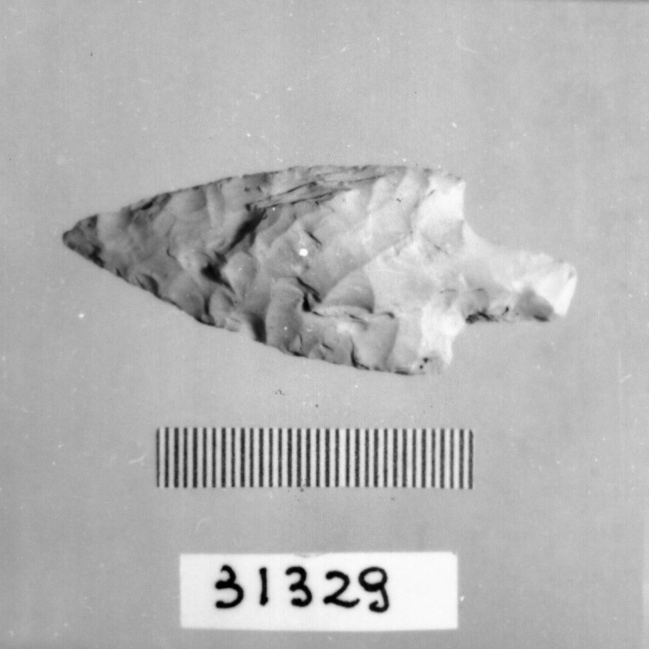 punta foliata a doppio cran (Eneolitico)