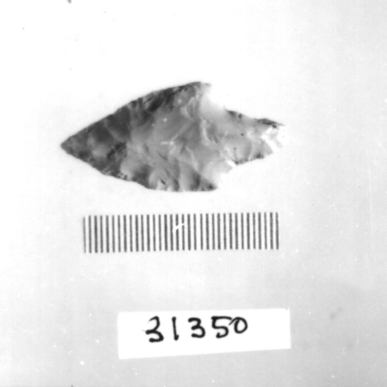 punta foliata a doppio cran (Eneolitico)