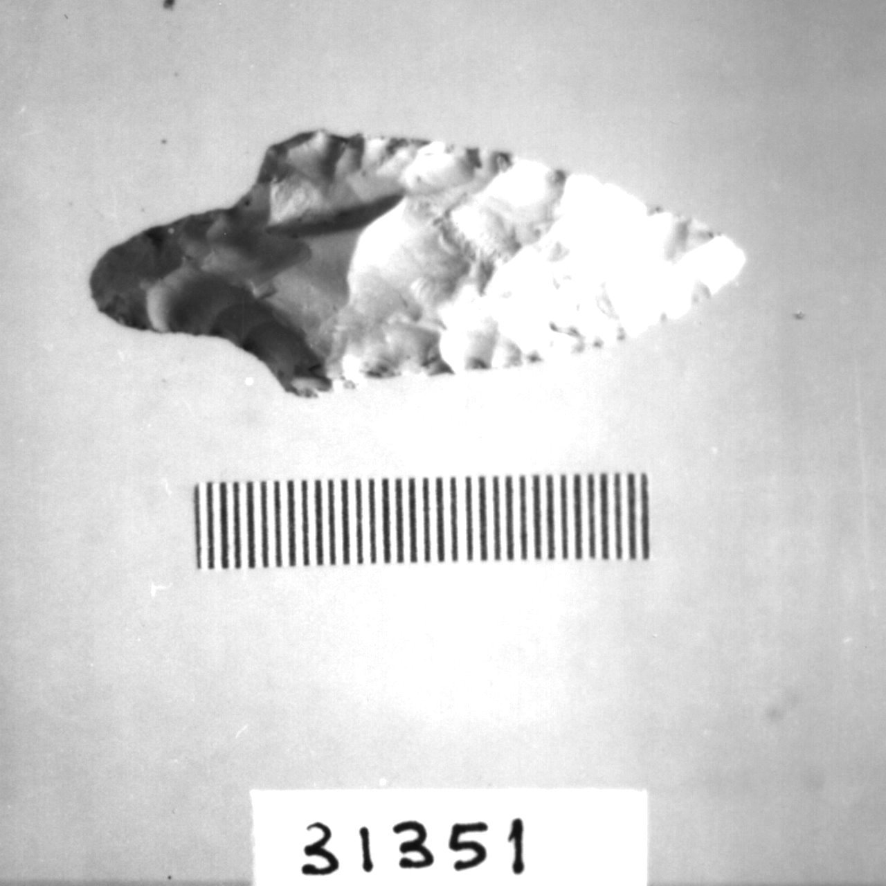 punta foliata a doppio cran (Eneolitico)