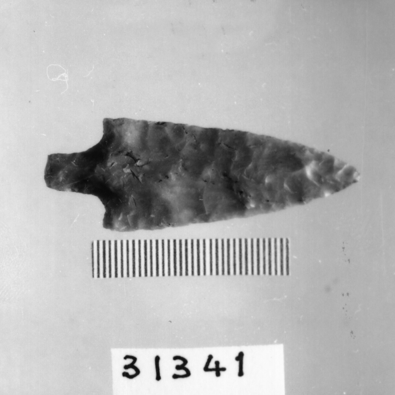 punta foliata a doppio cran (Eneolitico)