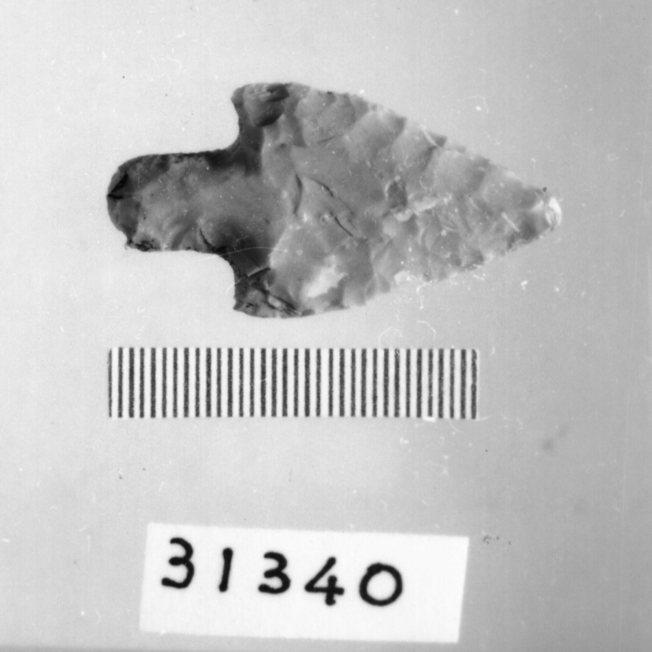 punta foliata a doppio cran (Eneolitico)