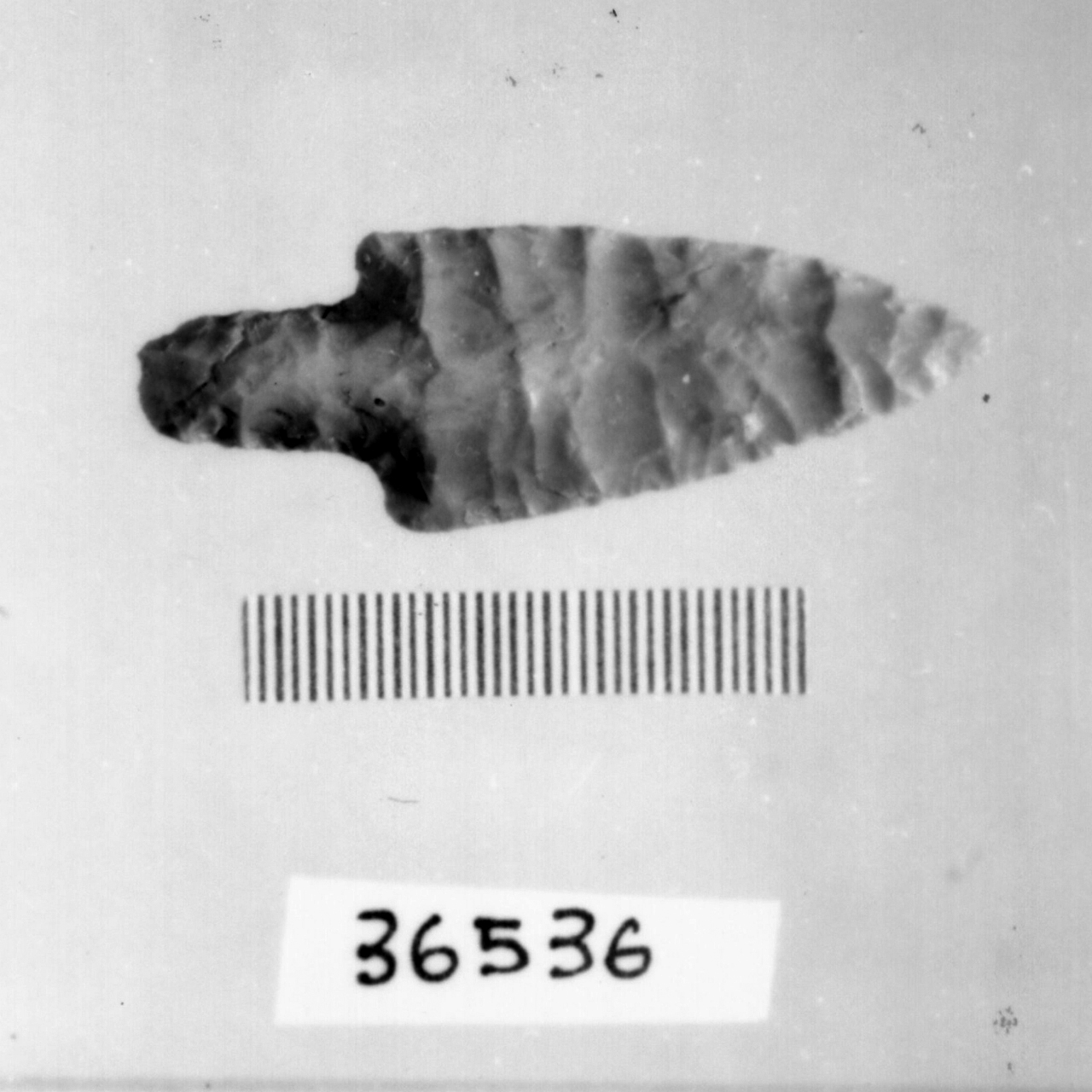 punta foliata a doppio cran (Eneolitico)