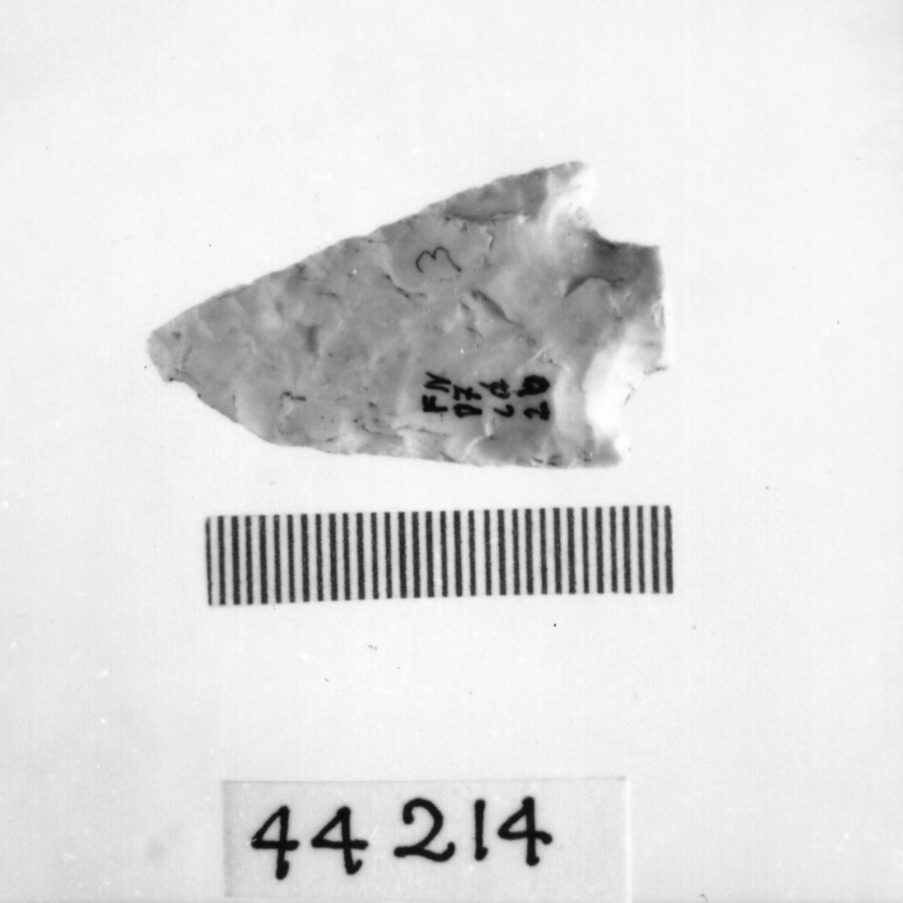 punta foliata a doppio cran (Eneolitico)