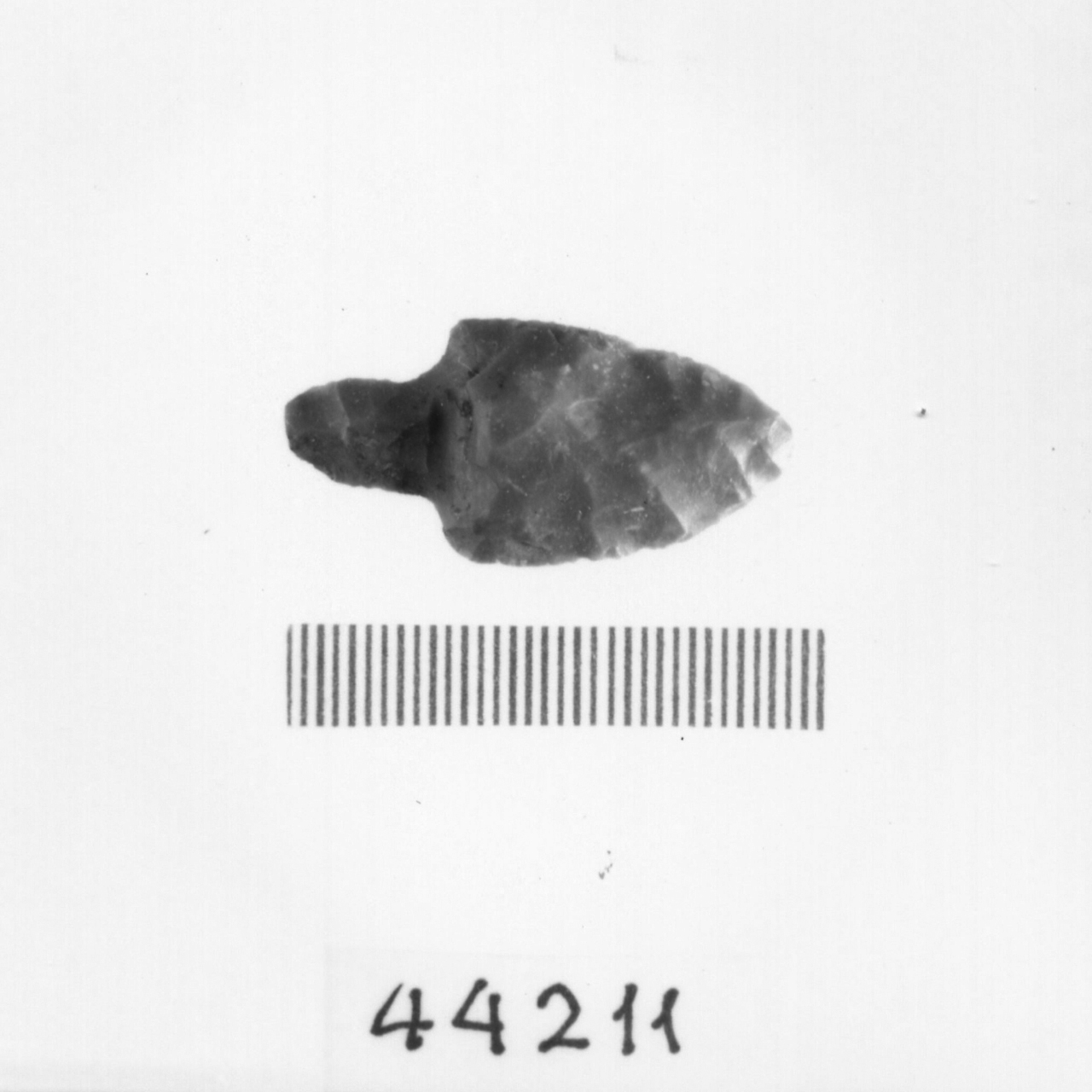 punta foliata a doppio cran (Eneolitico)