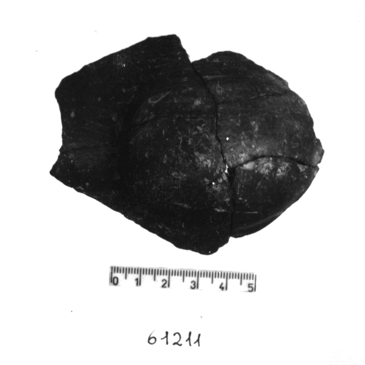 parete/ frammento (Eneolitico)