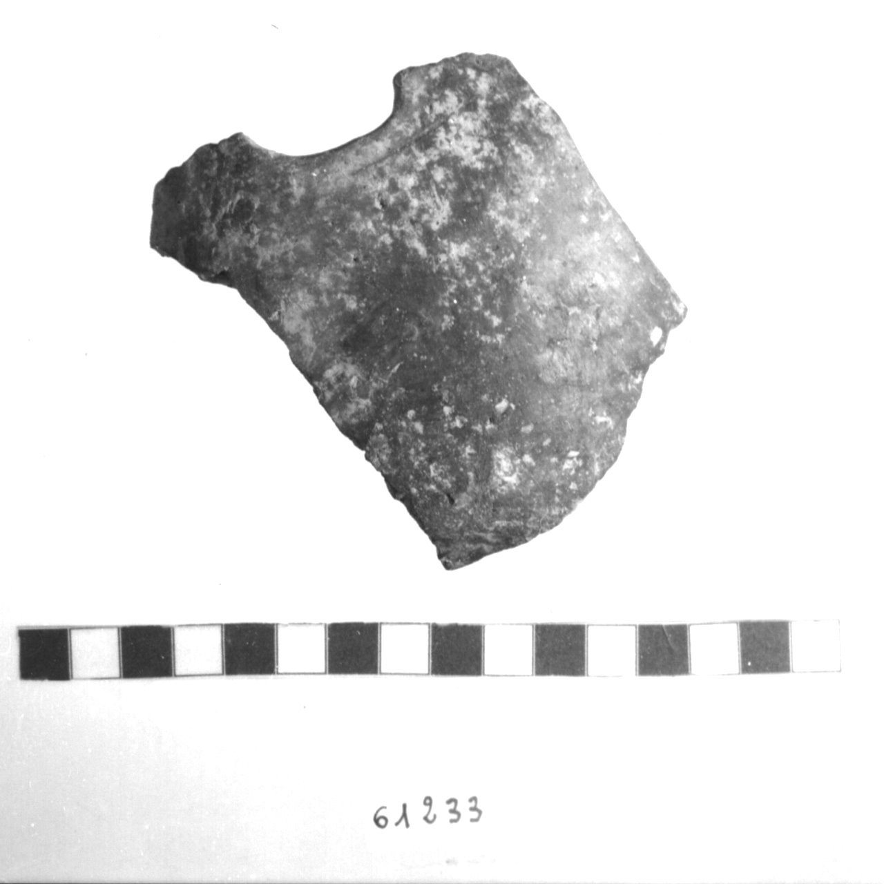 ciotola con ansa a nastro/ frammento (Eneolitico)