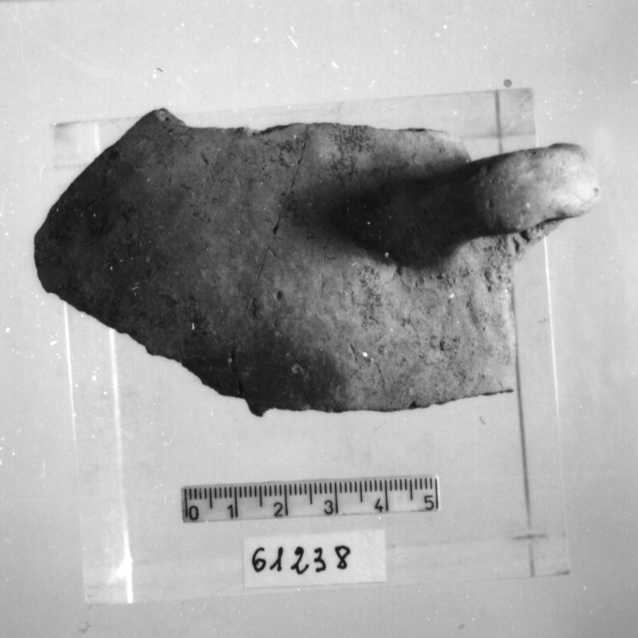 tazza/ frammento (Eneolitico)