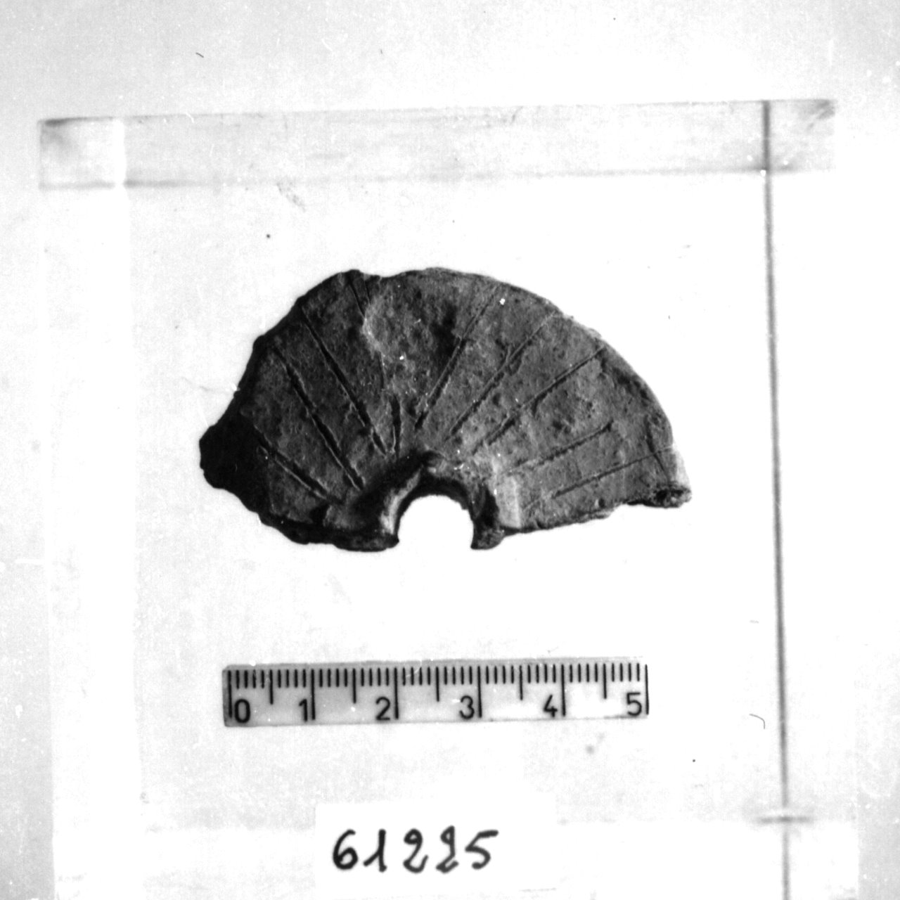 fuseruola lenticolare/ frammento (Eneolitico)