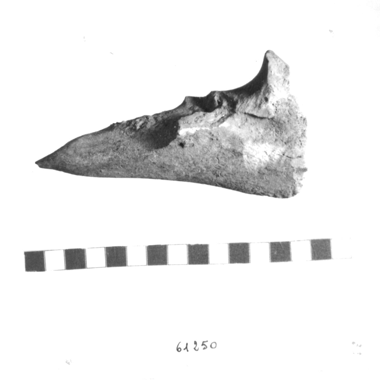 punteruolo (Eneolitico)