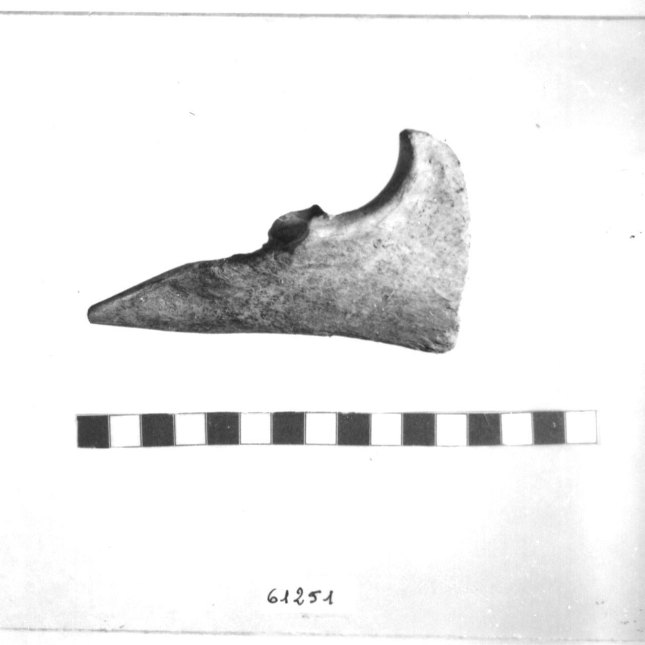 punteruolo (Eneolitico)